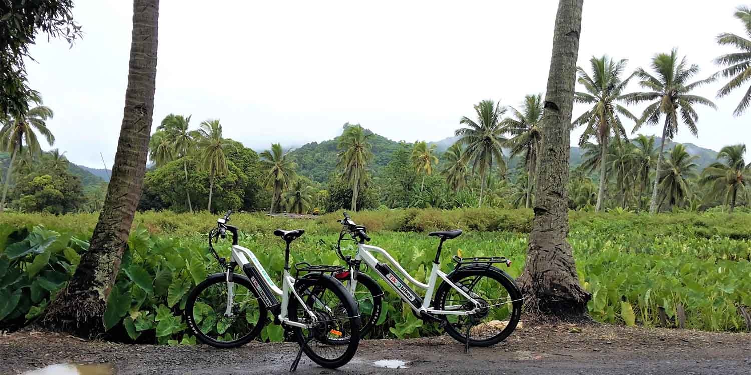 eBikes